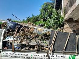 Trusted Carson, WA Junk Removal Experts